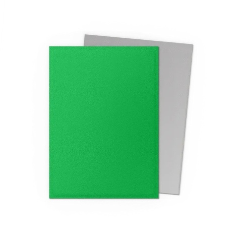 Koszulki na karty Dragon Shield - Apple Green & Silver 100 Matte Dual