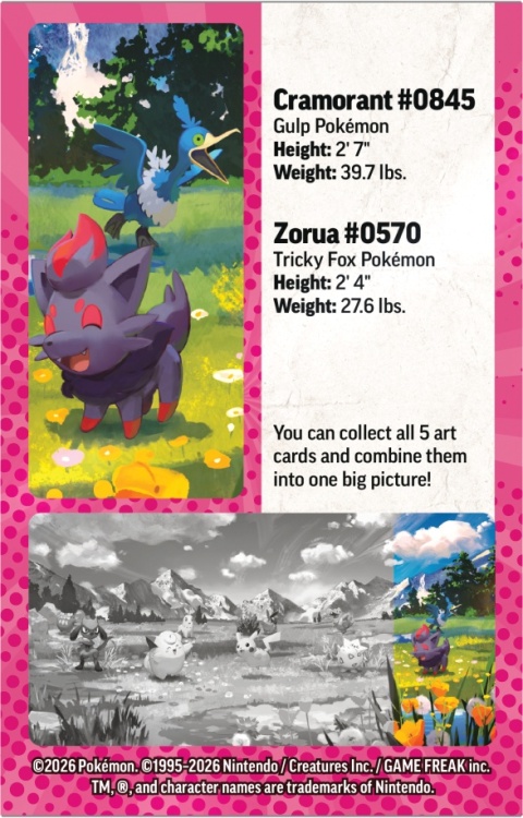 Mini Tin - Zorua/Cramorant